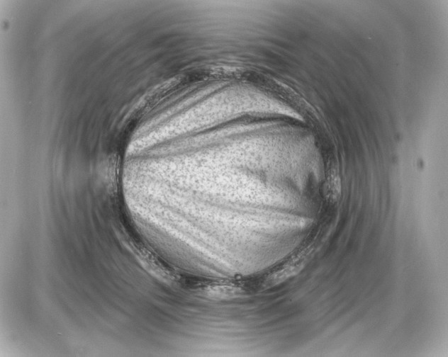 X0000087550468200705112126