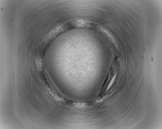 X0000087550469200705112126