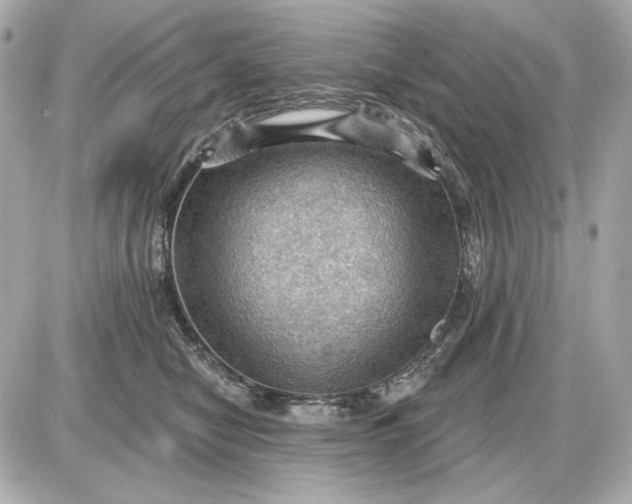 X0000087550470200705112126