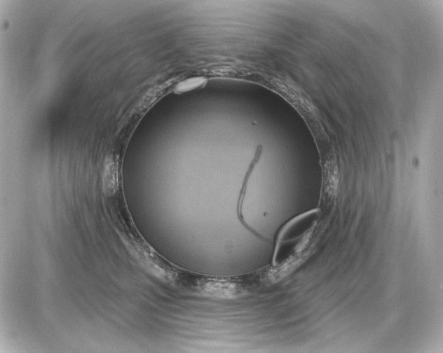 X0000087550471200705112126