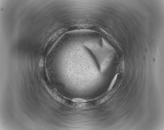 X0000087550472200705112126