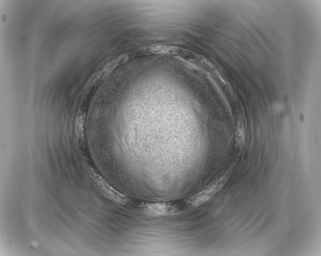 X0000087550473200705112126