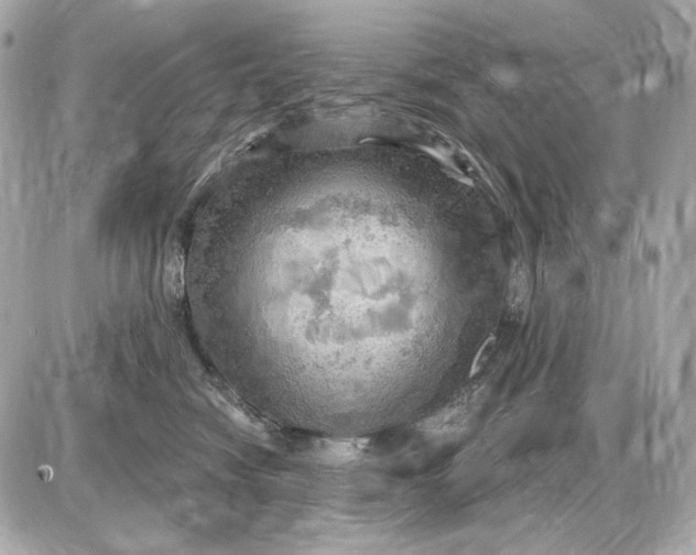 X0000087550474200705112126