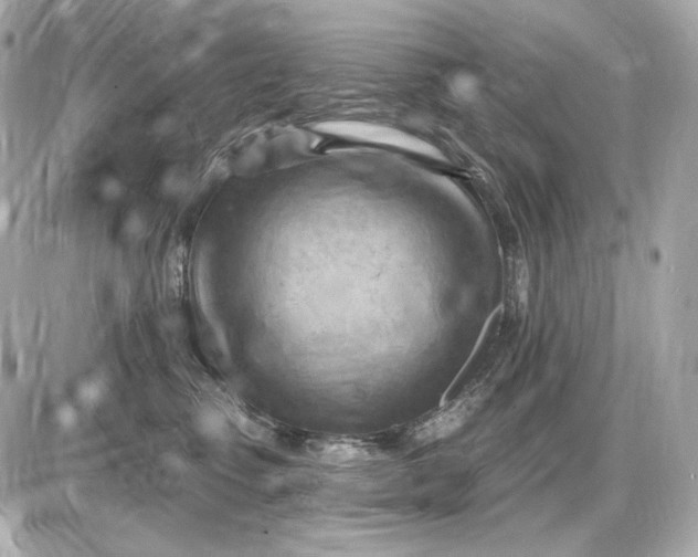 X0000087550475200705112126