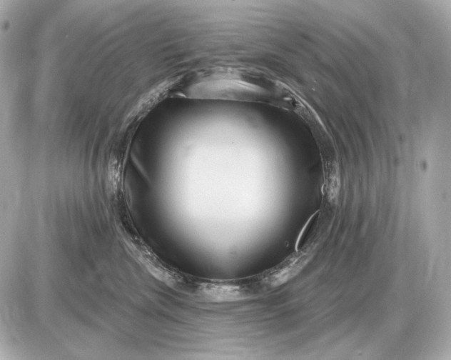 X0000087550476200705112126