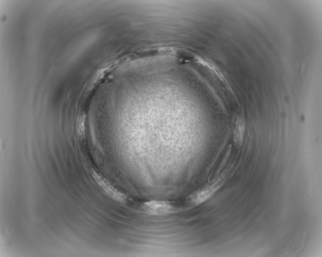 X0000087550477200705112126