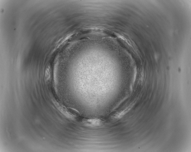 X0000087550478200705112126