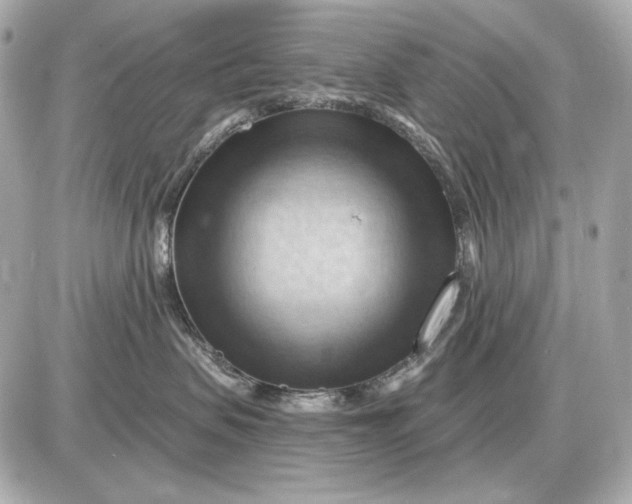 X0000087550479200705112126