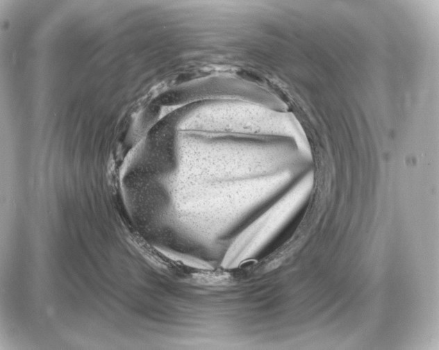 X0000087550480200705112126