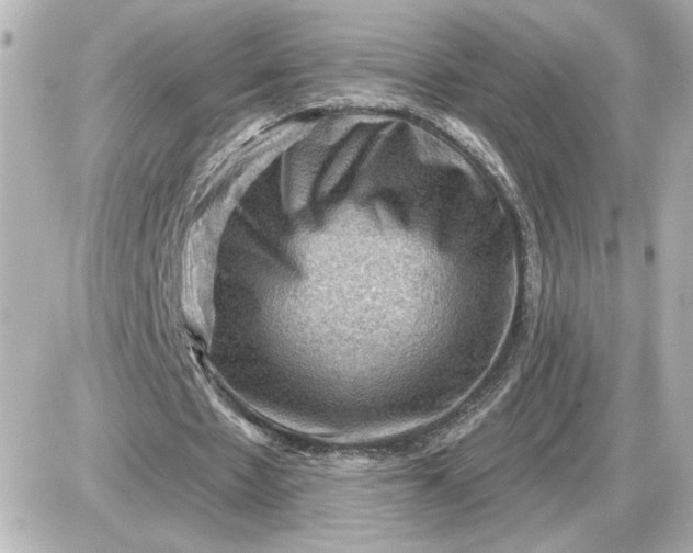 X0000087550481200705112125