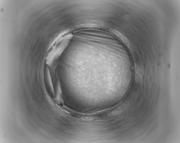 X0000087550482200705112125