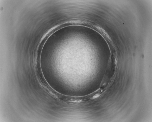 X0000087550484200705112125