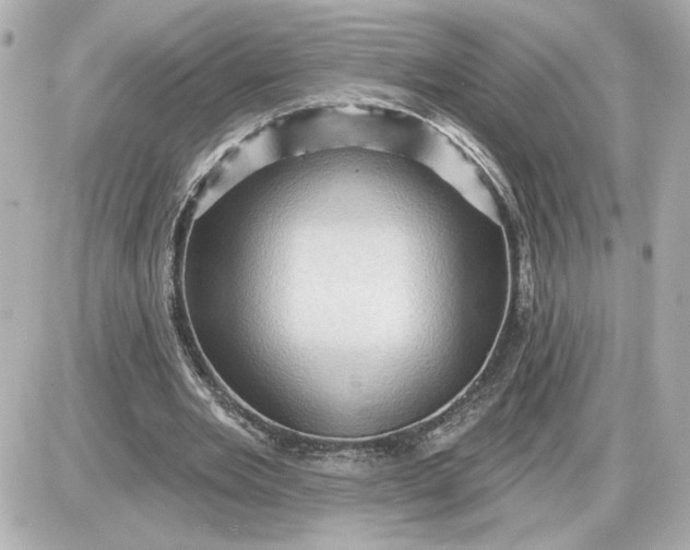 X0000087550485200705112125