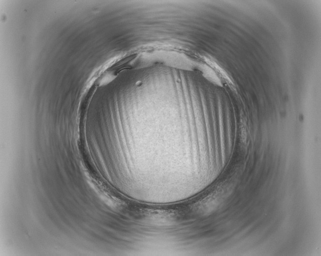 X0000087550486200705112125