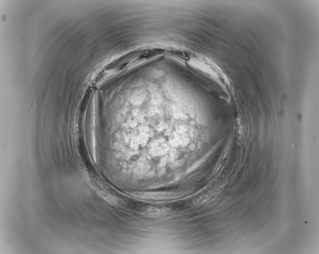 X0000087550487200705112125