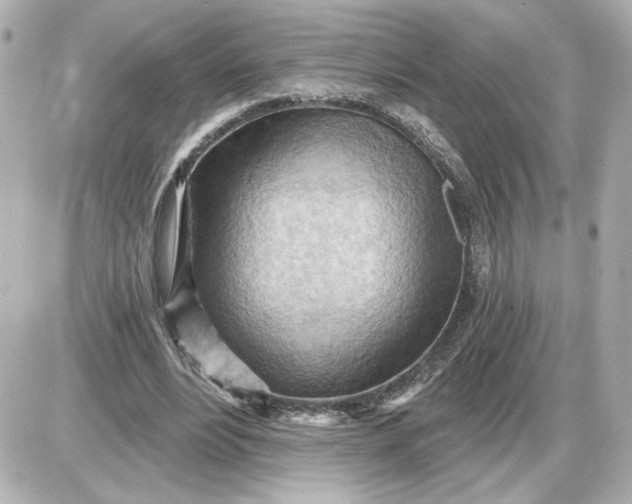 X0000087550488200705112125