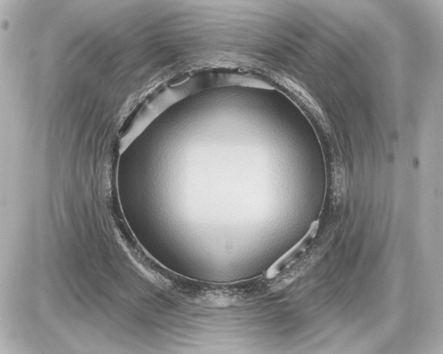 X0000087550489200705112125