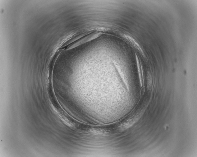 X0000087550490200705112125