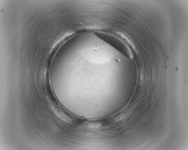 X0000087550491200705112125