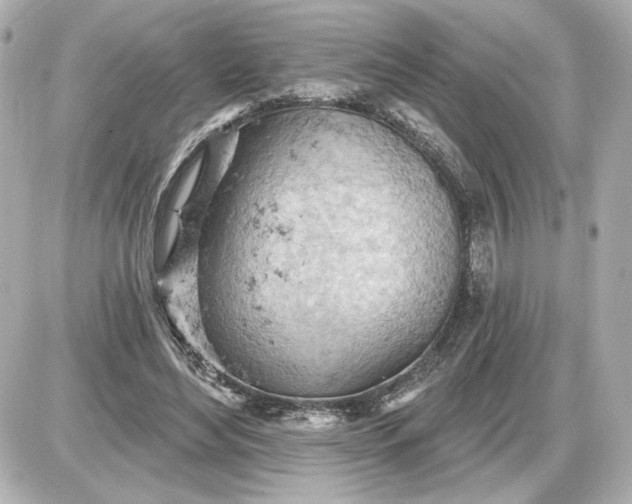 X0000087550492200705112125