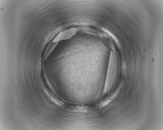 X0000087550493200705112125