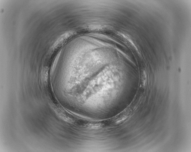 X0000087550495200705112125