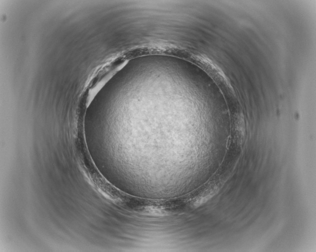 X0000087550496200705112125