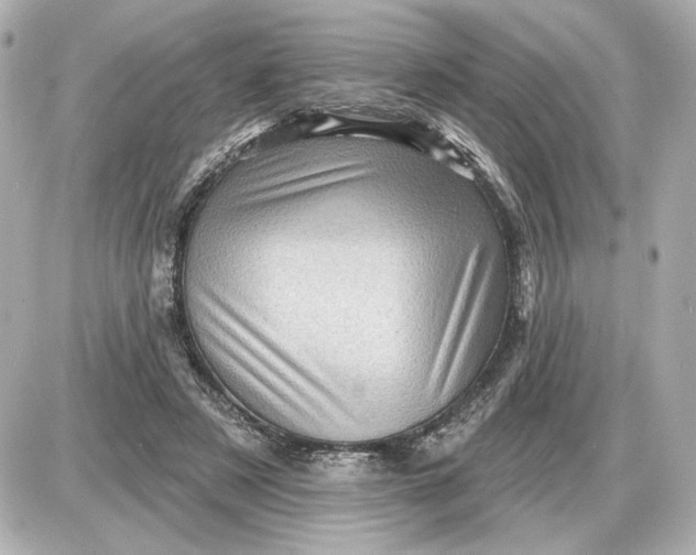 X0000087550497200705112125