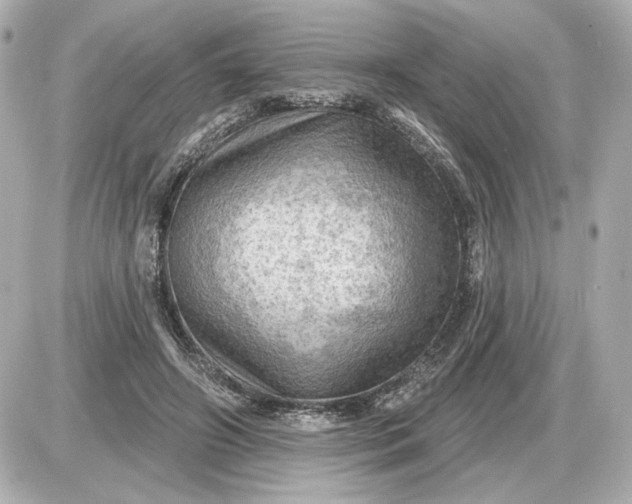 X0000087550498200705112125