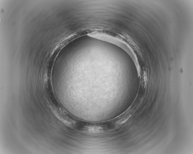 X0000087550500200705112125