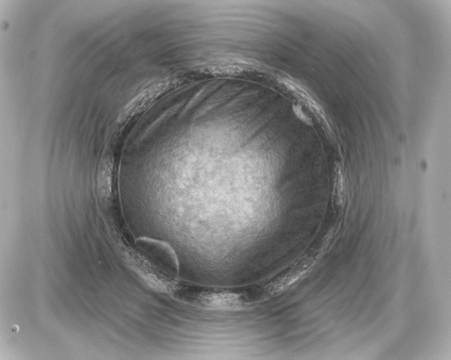 X0000087550501200705112125