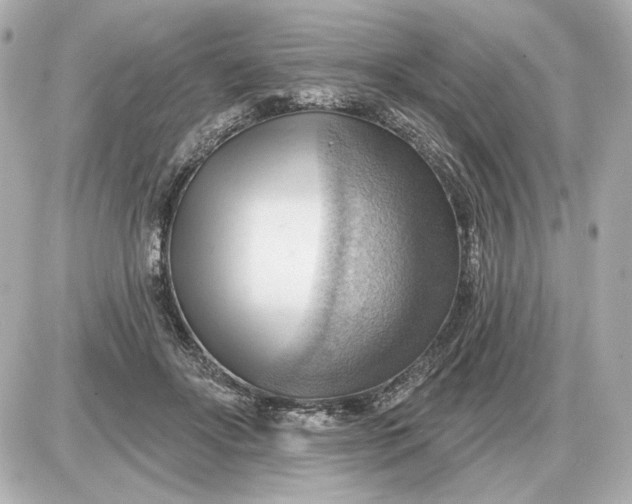 X0000087550502200705112125