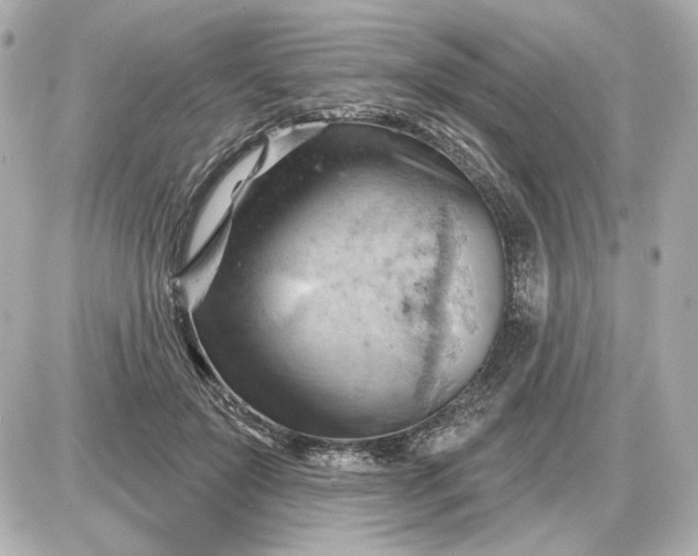 X0000087550503200705112125