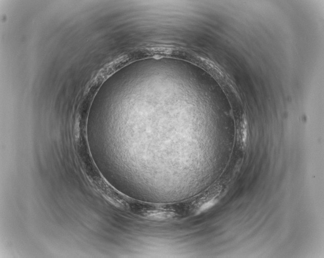 X0000087550504200705112125