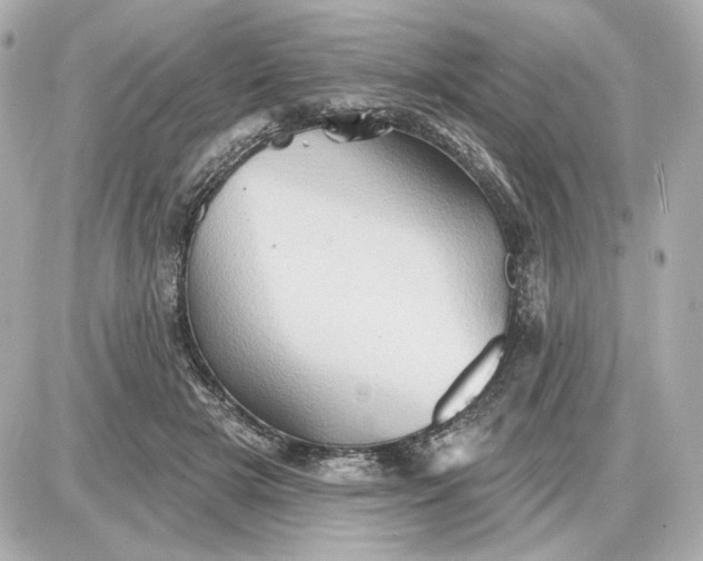 X0000087550505200705112125