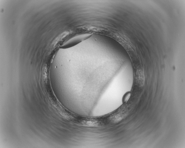 X0000087550506200705112125