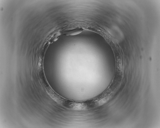 X0000087550507200705112125