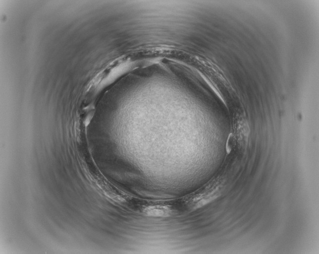 X0000087550508200705112125