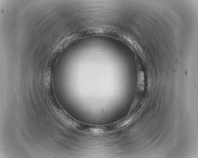 X0000087550509200705112125