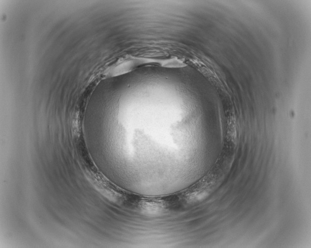 X0000087550510200705112125