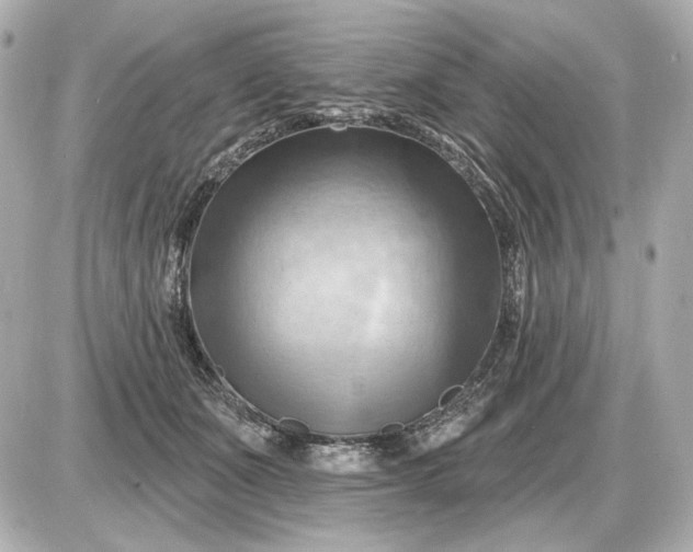 X0000087550511200705112125