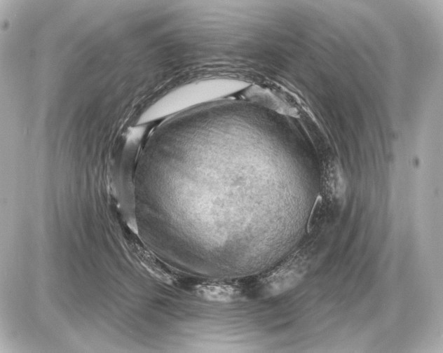 X0000087550512200705112125