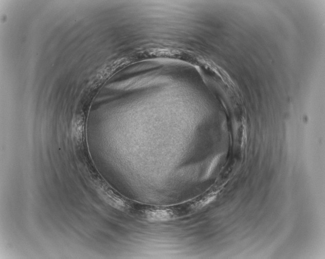 X0000087550513200705112125