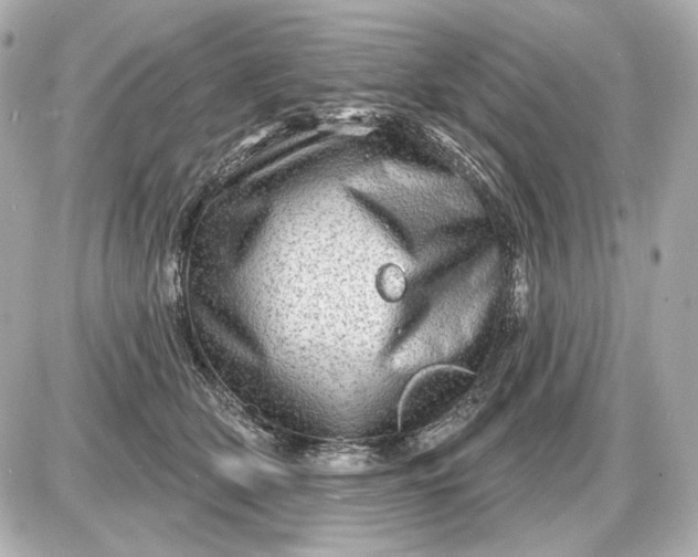 X0000087550514200705112125