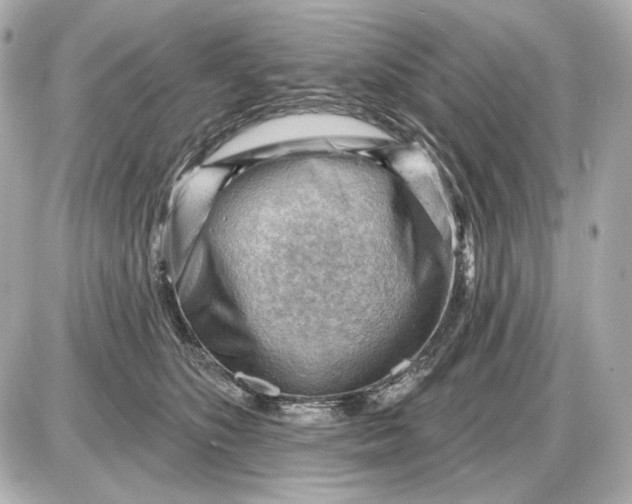 X0000087550516200705112125