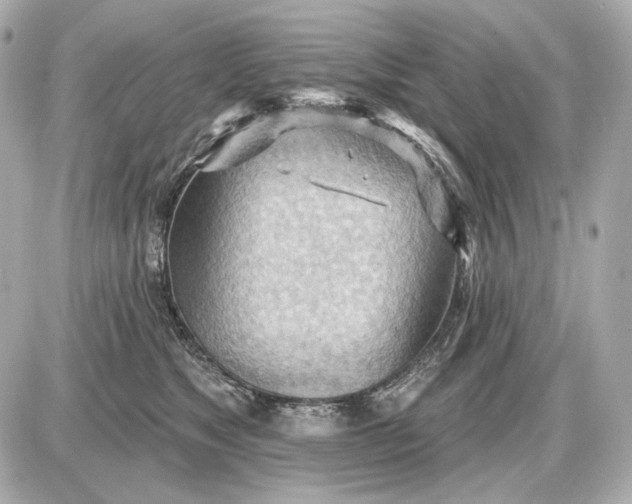 X0000087550517200705112125