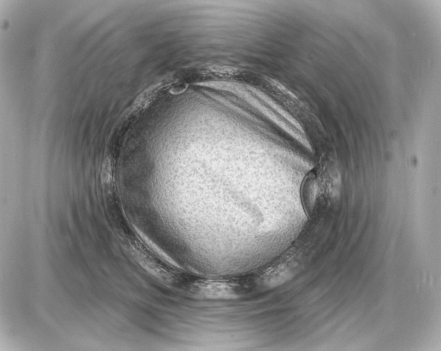 X0000087550518200705112125