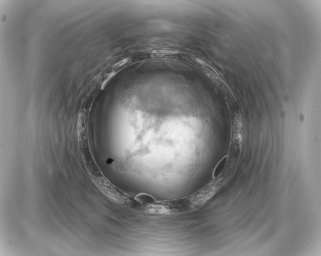 X0000087550519200705112124