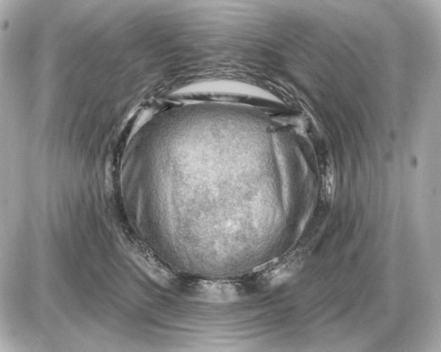 X0000087550520200705112124