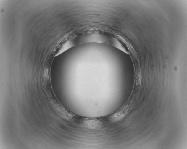 X0000087550521200705112124